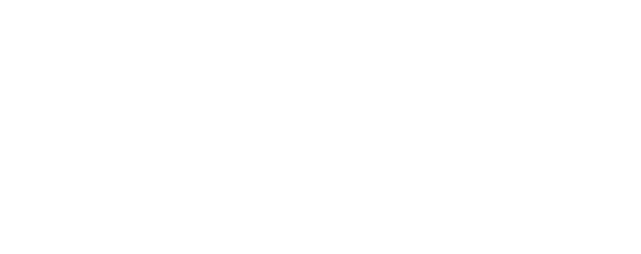Arian Emamjomeh Signature